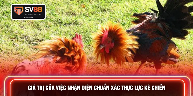 Giá trị của việc nhận diện chuẩn xác thực lực kê chiến