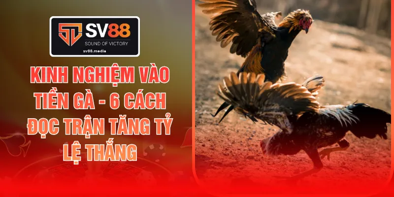 Kinh Nghiệm Vào Tiền Gà - 6 Cách Đọc Trận Tăng Tỷ Lệ Thắng