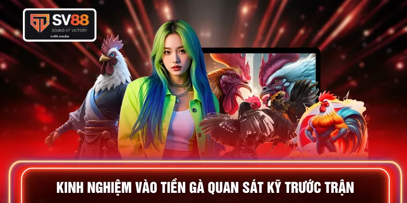 Kinh nghiệm vào tiền gà quan sát kỹ trước trận