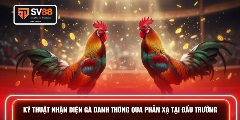 Kỹ thuật nhận diện gà danh thông qua phản xạ tại đấu trường