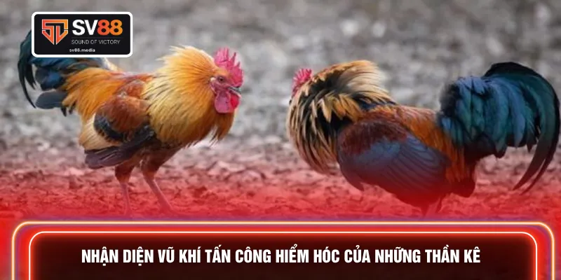 Nhận diện vũ khí tấn công hiểm hóc của những thần kê