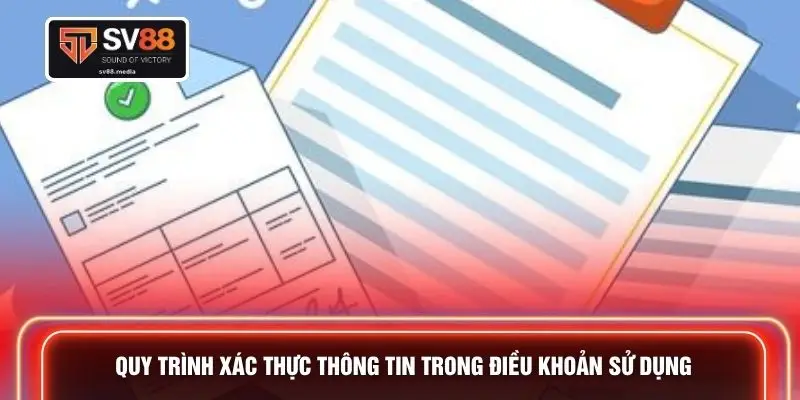 Quy trình xác thực thông tin trong điều khoản sử dụng