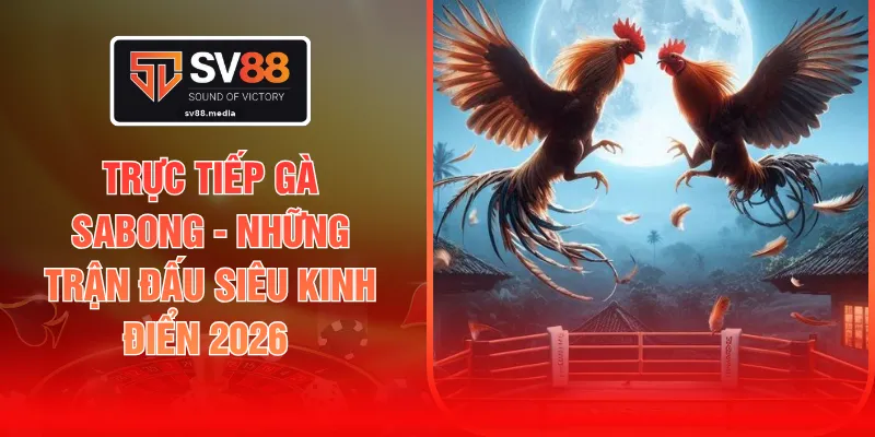 Trực Tiếp Gà Sabong - Những Trận Đấu Siêu Kinh Điển 2026